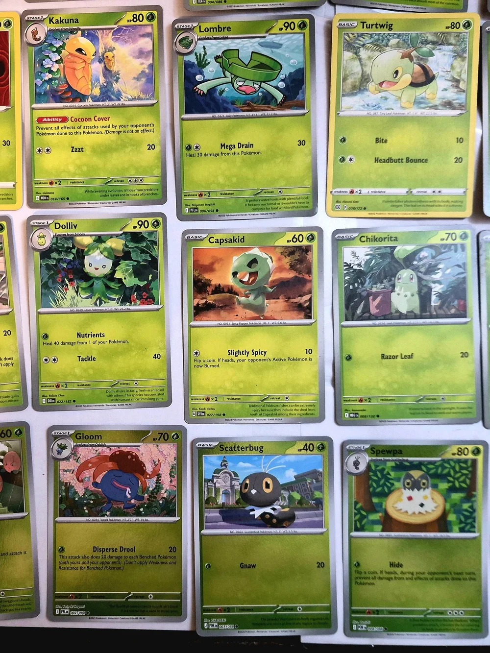 Pokémon Card Lot 100+ Grass Type Bundle Teal Mask Ogerpon ex Cyclizar